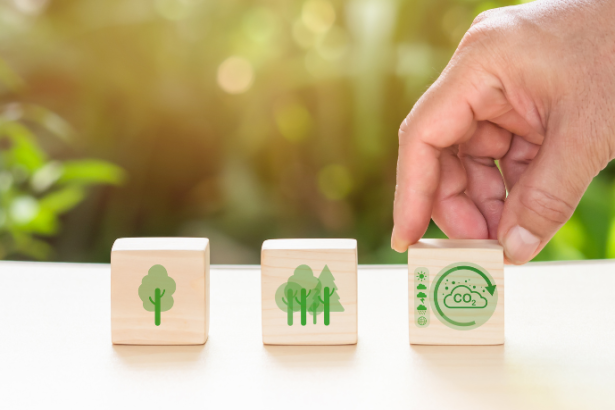 Sérgio Bento De Araújo apresenta como a educação sustentável transforma escolas com estratégias práticas que reduzem impactos e ampliam a consciência ambiental.