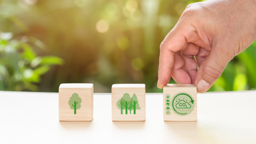 Sérgio Bento De Araújo apresenta como a educação sustentável transforma escolas com estratégias práticas que reduzem impactos e ampliam a consciência ambiental.