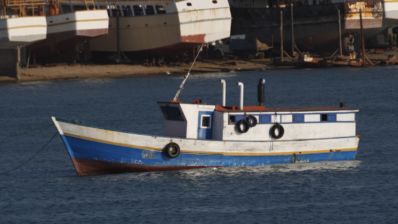 Para Joel Alves, inovação tecnológica amplia produtividade sem perder identidade cultural.