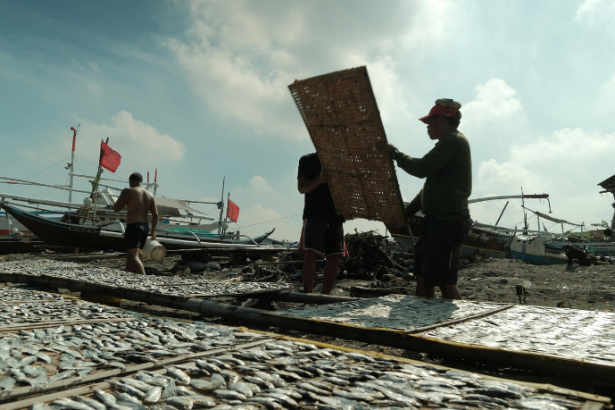 A tecnologia está revolucionando a pesca artesanal no Brasil com mais eficiência e controle, observa Joel Alves.