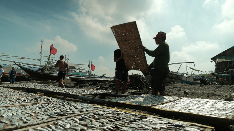 A tecnologia está revolucionando a pesca artesanal no Brasil com mais eficiência e controle, observa Joel Alves.