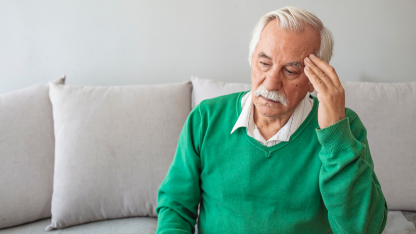 Sindnapi - Sindicato Nacional dos Aposentados, Pensionistas e Idosos