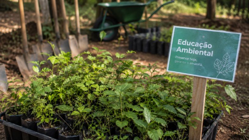 O Futuro da Sustentabilidade Gaúcha: Como a Educação Ambiental Transforma as Políticas Públicas no Rio Grande do Sul